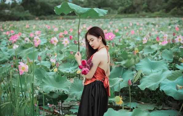 Picture leaves, girl, flowers, pond, leaf, bouquet, Asian, Lotus, pond
