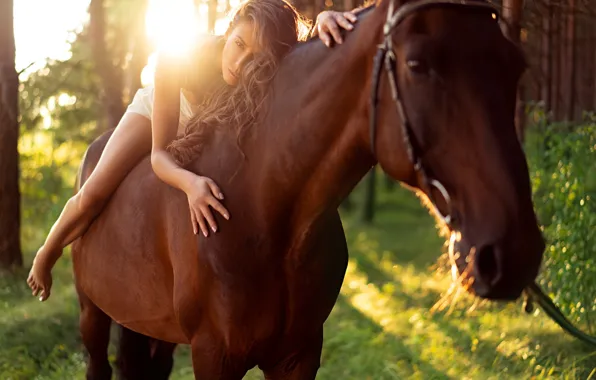 Picture girl, horse, Novozhilov Sergey