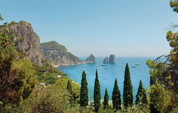 Picture trees, mountains, lake, yachts, Italy, Capri, Marina Piccola