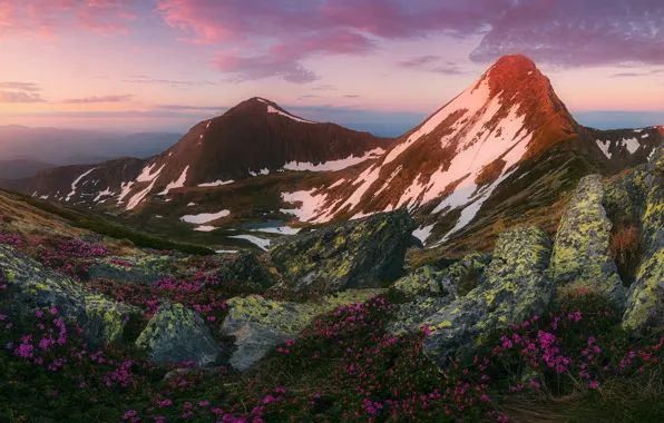 Picture landscape, mountains, nature, dawn, vegetation, spring, morning, flowering, snow