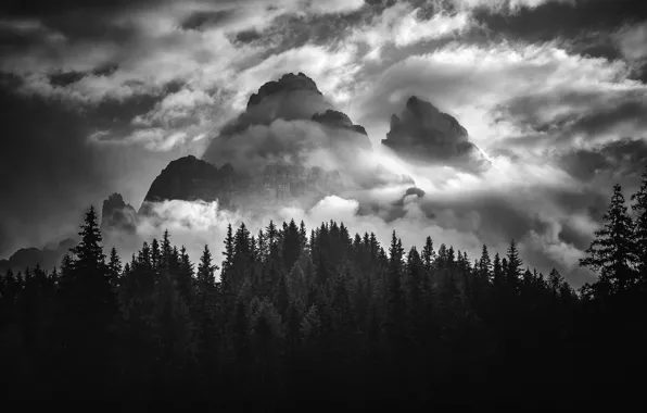 Picture the sky, clouds, trees, mountains, nature, rocks, black and white, monochrome, The Dolomites