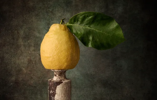 Picture lemon, food, fruit