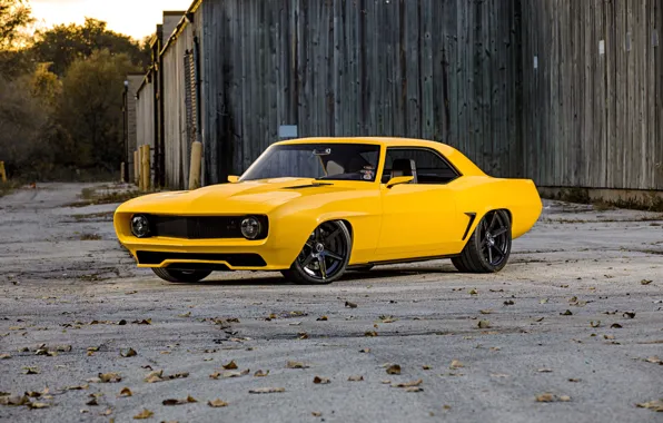 Picture Chevrolet, 1969, Camaro, Front, Yellow, Side, Muscle Car, Front and Side