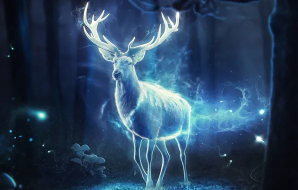 Picture Night, Forest, Magic, Deer, Light, Fantasy, Horns, Art, Fiction, Magic, Animal, Forest, Horns, Animal, Deer, …