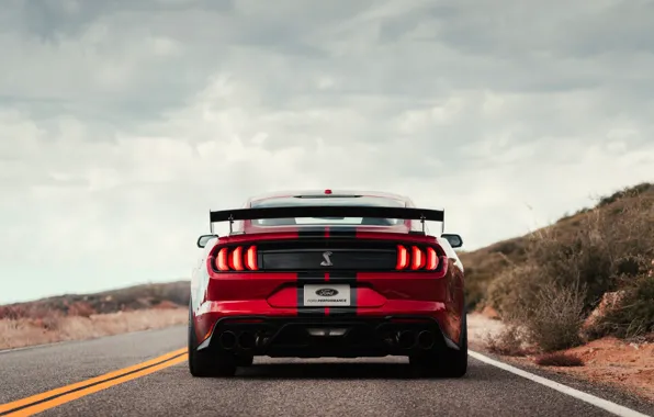 Picture Mustang, Ford, Shelby, GT500, bloody, feed, 2019