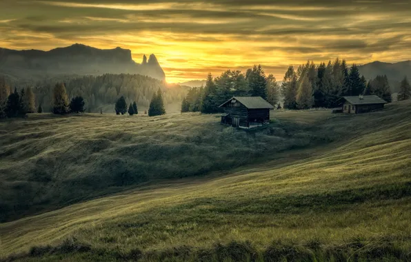Picture field, forest, hills, slope, houses