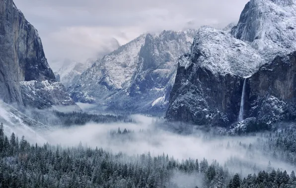 Picture winter, the sky, snow, trees, mountains, nature, fog, rocks, USA, Yosemite