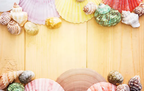 Picture sea, background, shell, bokeh
