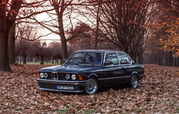 Picture BMW, E21, 3-Series