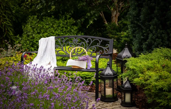 Picture flowers, bench, lights, plaid, lavender