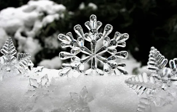Picture FROST, ICE, SNOW, WINTER, FORM, FIGURE, PATTERN, SNOWFLAKES