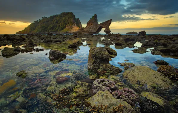 Picture nature, rock, stones, Indonesia, the island of Nusa Penida
