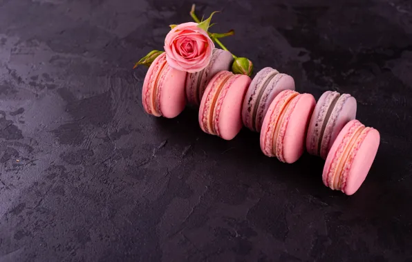 Picture flower, background, rose, cakes, macaroon