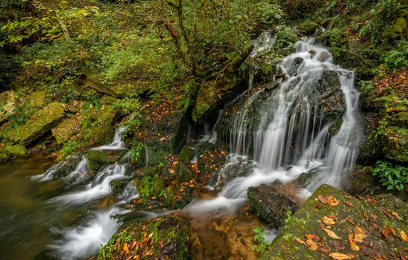 Picture autumn, forest, waterfall, cascade, Tn