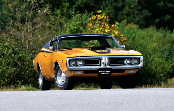 Picture Dodge Charger, Muscle car, Super Bee, Hemi