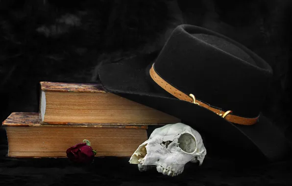 Picture skull, hat, book
