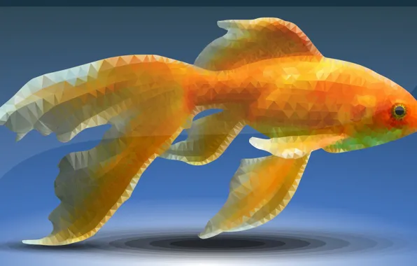 Picture fish, goldfish, low poly