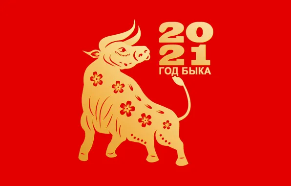 Picture styling, figures, New year, red background, date, bull, symbol of the year, 2021, животное года, …