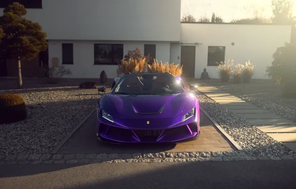 Picture purple, Tuning, Ferrari, Ferrari, tuning, Spider, The front, novitec, F8 Spider