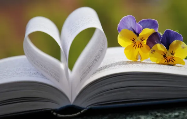 Picture flowers, heart, book, Pansy, page, bokeh, composition, violet, viola