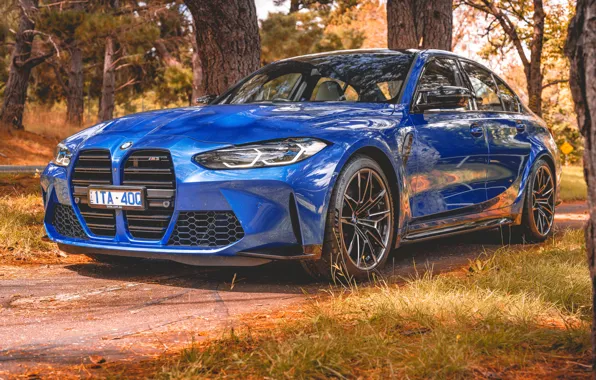 Picture BMW, Blue, Front, Autumn, Side, BMW M3, Road, Forest, G80, Front and Side