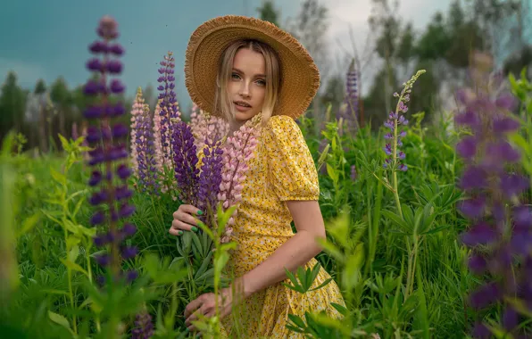 Picture look, girl, flowers, pose, hat, dress, lupins, Sergei Novozhilov