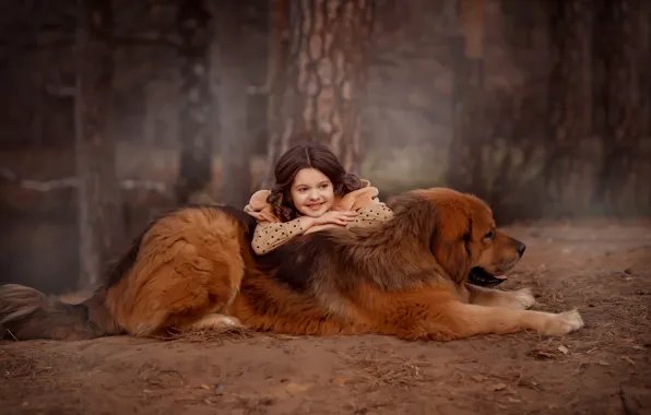 Picture forest, dog, girl, friends, dog, Tibetan Mastiff, Valentine Ermilova