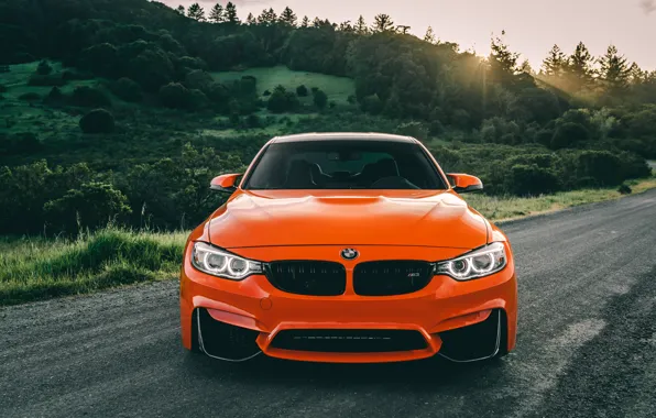 Picture BMW, orange, Forest, f80, m3