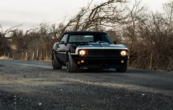 Picture style, camaro, chevrolet, the front