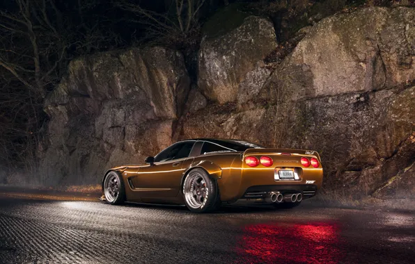 Picture Corvette, Night, Brown, C5