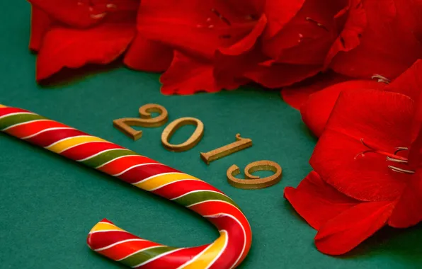 Picture New Year, figures, red, background, New Year, petals, decoration, Happy, 2019