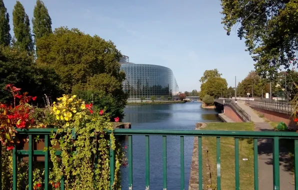 Picture autumn, flowers, bridge, river, France, channel, Strasbourg, The European Parliament
