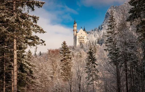 Picture winter, forest, trees, castle, Germany, Bayern, Germany, Bavaria, Neuschwanstein Castle, Neuschwanstein Castle, Schwangau, Schwangau