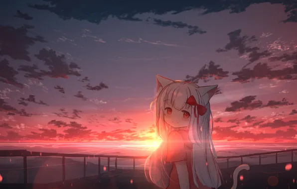 Picture sea, cat, sunset, girl