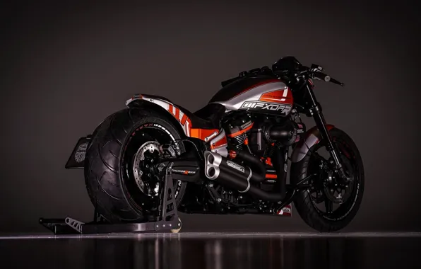 Picture Harley-Davidson, Custom, Thunderbike