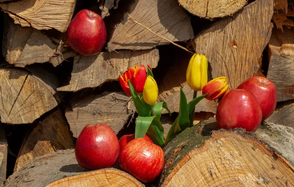 Picture flowers, apples, yellow, tulips, red, wood, fruit