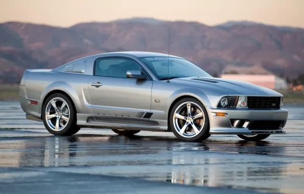 Picture Mustang, Ford, 2008, Saleen, S302, Extreme
