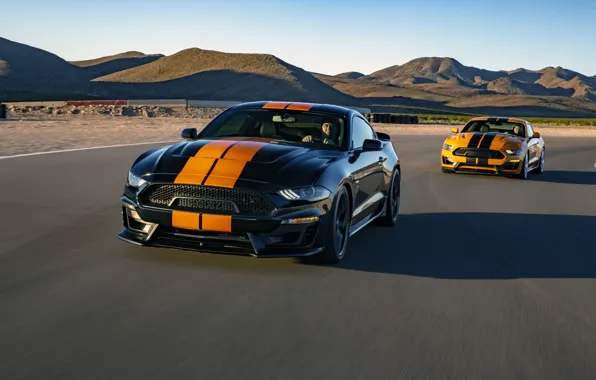 Picture Mustang, Ford, Shelby, GT-S, 2019