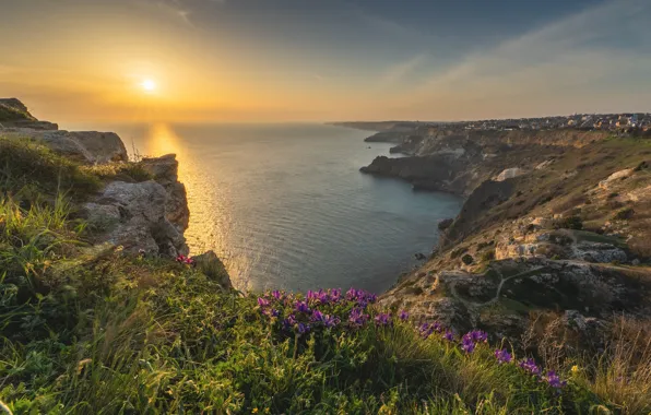 Picture sea, landscape, sunset, flowers, nature, rocks, grass, Crimea, мыс Фиолент