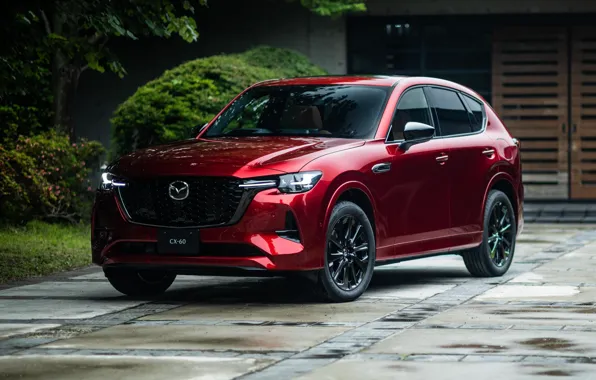 Picture Mazda, Hybrid, Sports, Premium, 2022, CX 60 XD