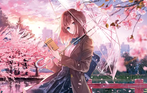 Picture girl, Park, spring, umbrella, Sakura, book