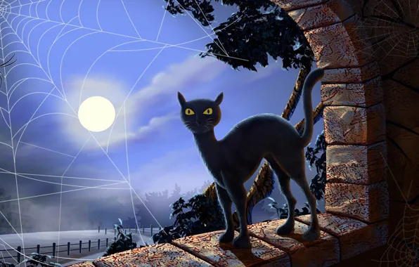 Picture night, web, the full moon, black cat, yellow eyes, black magic