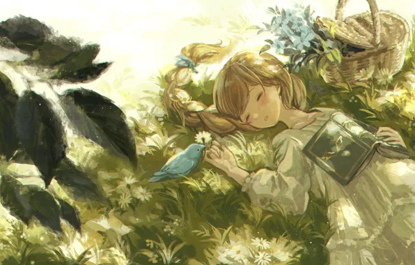 Picture grass, bird, basket, sleeping, girl, book