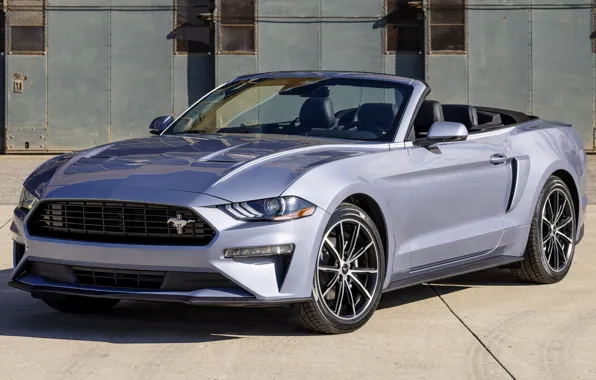 Picture Convertible, 2022, Coastal Edition, Ford Mustan