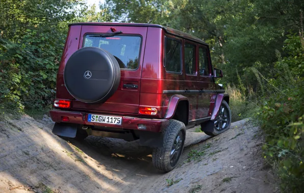 Picture Mercedes-Benz, SUV, rear view, G500, G-Class, 2015, G 500, V8 Biturbo