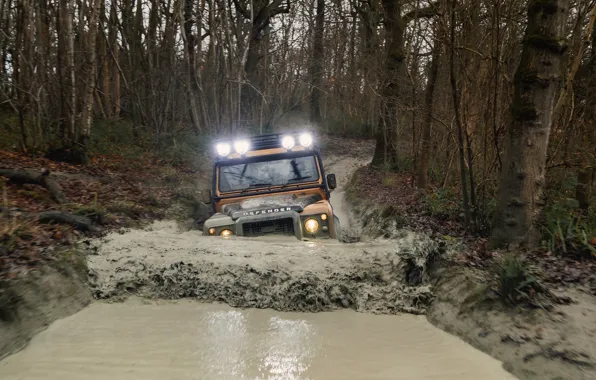 Picture water, dirt, SUV, Land Rover, Defender, ditch, V8, 5.0 L., 2021, Works V8 Trophy, 405 …