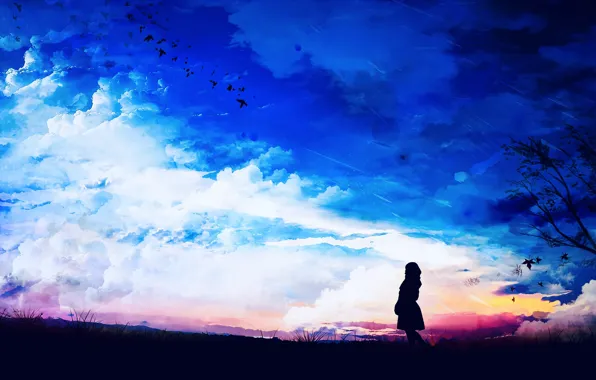 Picture the sky, girl, birds, nature