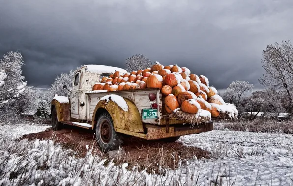 Picture machine, snow, pumpkin