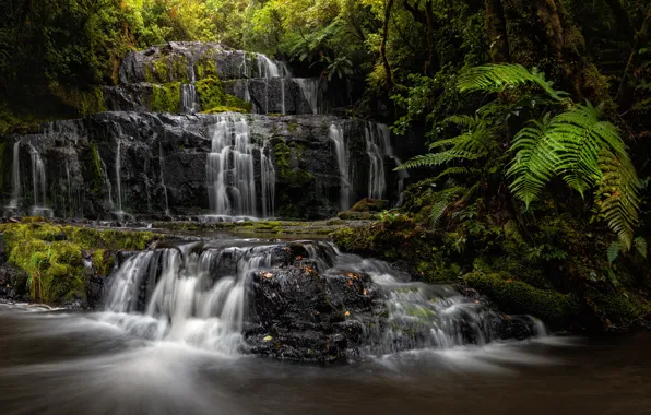 Picture forest, river, waterfall, New Zealand, cascade, New Zealand, fern, Purakaunui Falls, Purakaunui River, Catlins, The …
