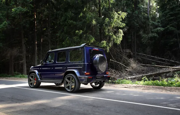 Picture Mercedes-Benz, Mercedes, Nature, Inferno, Side, Road, Ball Wed, G-Class, Forest, Rear, Rear and Side